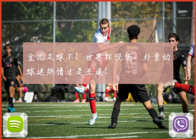金元足球不！世界杯现场，朴素的球迷热情才是王道！