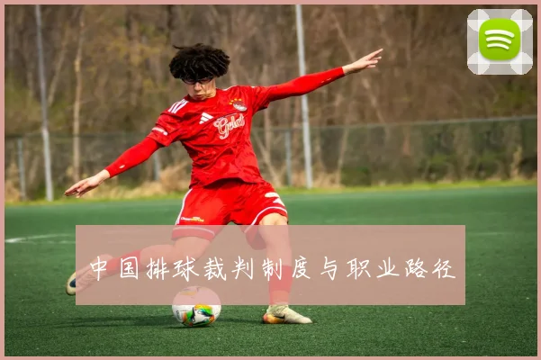 中国排球裁判制度与职业路径