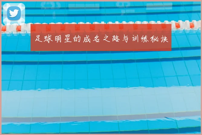 足球明星的成名之路与训练秘诀